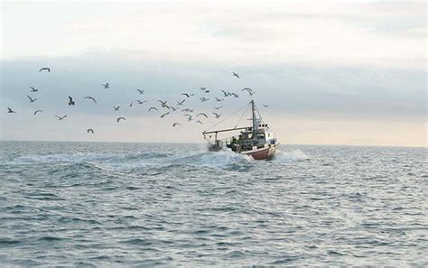 Los Caladeros De Pesca Todo Lo Que Necesitas Saber