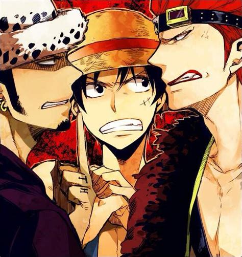 Luffy X Law X Kid Anime Amino