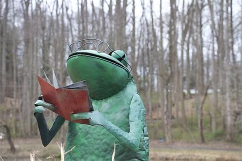 Froggy Reader Tim Stahmer Flickr