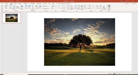 How to Text Wrap in PowerPoint