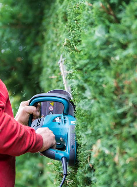 Hedge Trimming - Hills Gardening & Tree Lopping