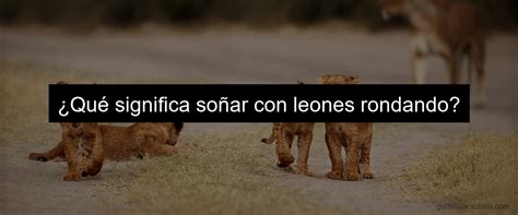 So Ar Con Leones Sueltos Qu Significado Tienen Estos Sue Os