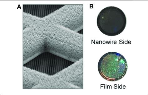 Self Wicking Nanowire Grids A Sem Image Showing A Grid Bar