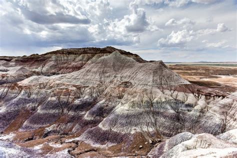 Blue Mesa Petrified Forest National Park Stock Photo Image Of