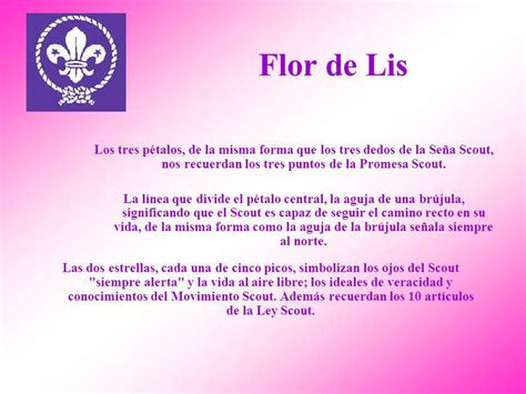 Flor De Lis Significado Maçonaria