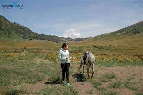 Berapa Lama dari Jember ke Bromo? Ini Rutenya! | Nahwa Tour