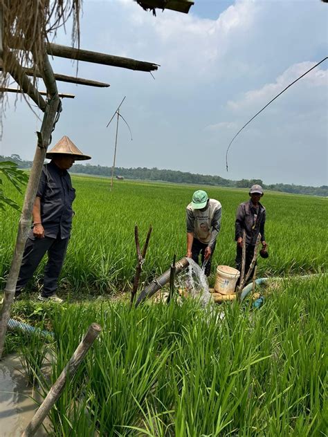 Kementerian Pertanian Direktorat Jenderal Perkebunan Kementan