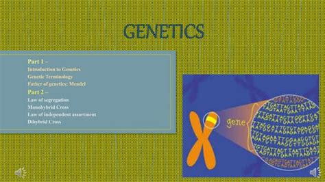 Classical Genetics : Genetics Terminologies | PPT