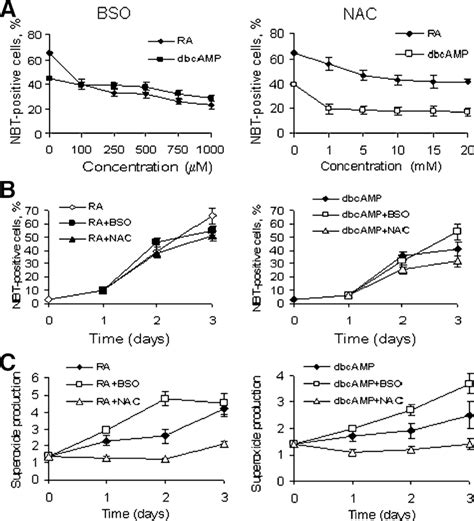 Dose And Time Dependent Effect Of Bso And Nac On Induced Hl Cell