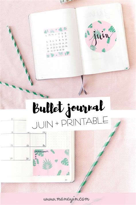 Bullet Journal Juin Mise En Page Favoris De Mai Manayin