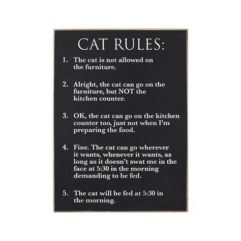 Cat Rules Sign Treehouse T And Home