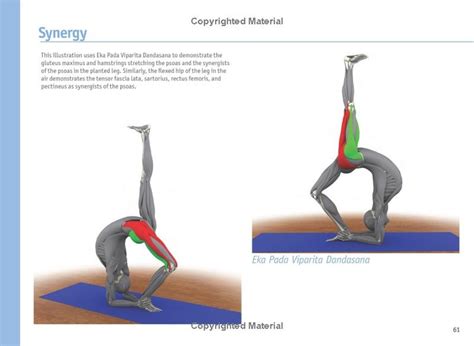 88 best Yoga & Anatomy images on Pinterest | Physical therapy ...