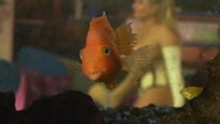 House Cleaning Services Tits Tits Porn XHamster