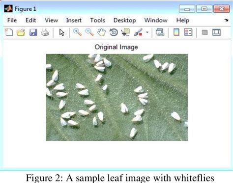 Figure From Plant Leaf Disease Identification Using Image Processing