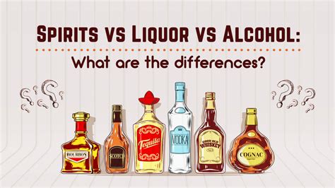 Spirits vs Liquor vs Alcohol: What are the differences? | Century Wines & Spirits