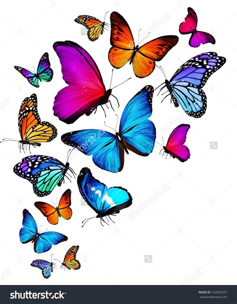 Butterfly Flying Clipart - Butterfly Mania