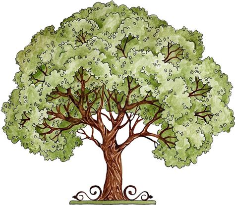 clip art tree   clip art tree png images