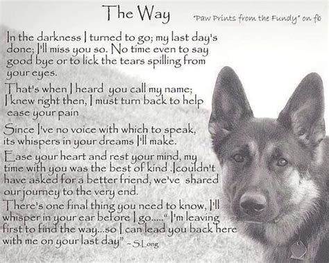 Saying Goodbye To Your Dog Dog Poems Dog Quotes Dogs