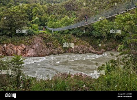 Buller Gorge Swing Bridge, pedestrian suspension bridge over Buller ...