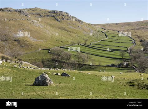 Stone Walls At Gordale Stock Photo Alamy