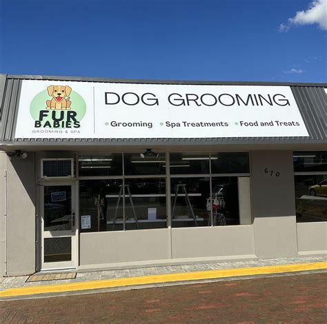 Gallery - Fur Babies Grooming and Spa