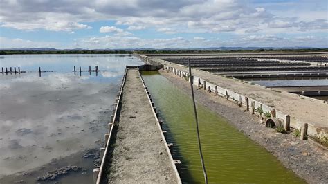 Rapar Sal Nas Salinas Do Samouco Youtube