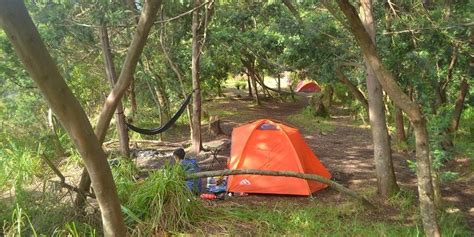 Cocok Untuk Pemula Ini Panduan Lengkap Mendaki Gunung Papandayan