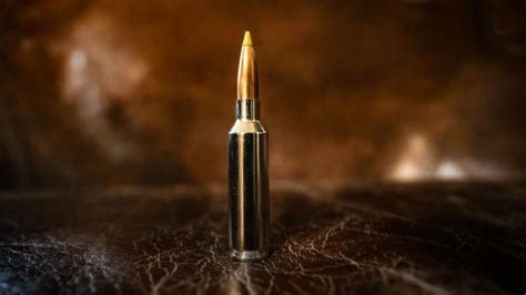 6 8 Western Vs 270 Winchester Ballistics And Which To Pick Backfire