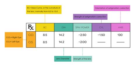 Contact Lenses Vs Glasses Prescription Smartbuyglasses Usa