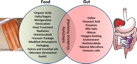 Frontiers Food Associated Stress Primes Foodborne Pathogens For The