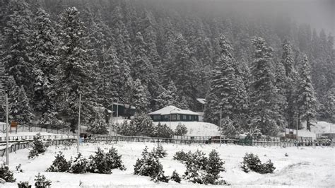 In Pics Kashmirs Winter Wonderland Gulmarg