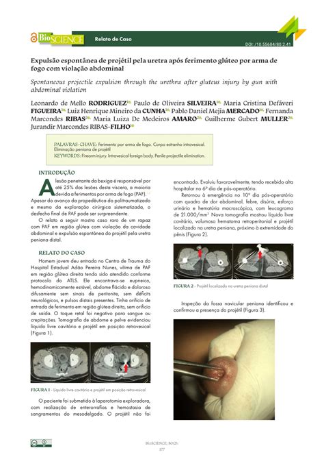 Pdf Expuls O Espont Nea De Proj Til Pela Uretra Ap S Ferimento Gl Teo