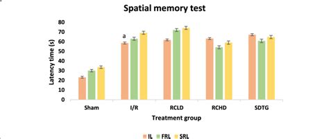 Spatial memory test via elevated maize model in the different treatment ...