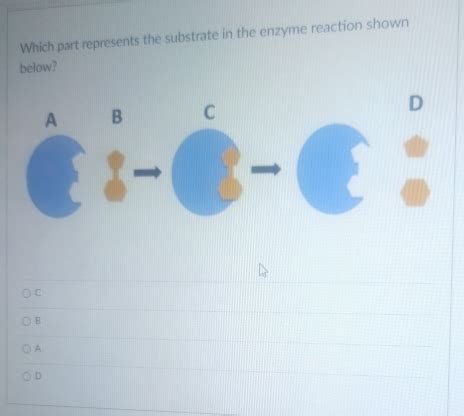 Solved Which Part Represents The Substrate In The Enzyme Reaction