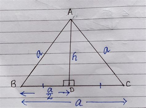 Equilateral Triangle | Area formula, Area and perimeter, Find the perimeter