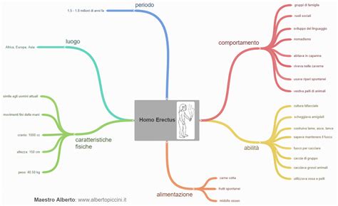 Mappe Concettuali E Schemi Di Sintesi Per La Scuola Primaria LHomo