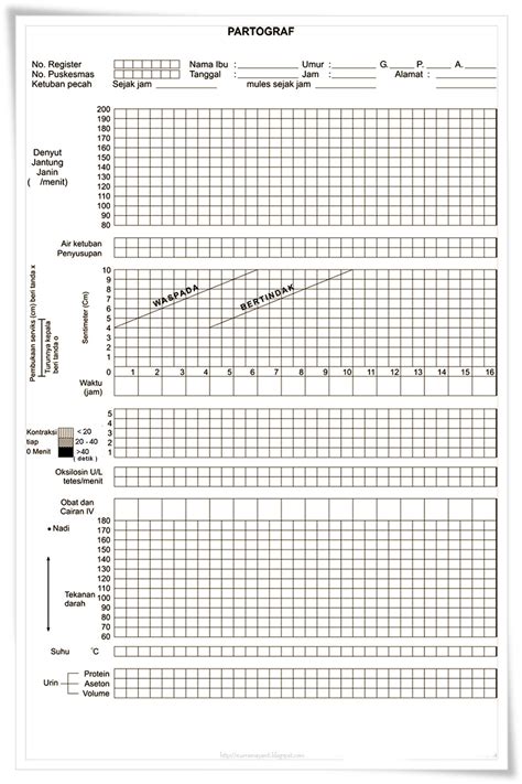 Catatanku Hari Ini Partograf