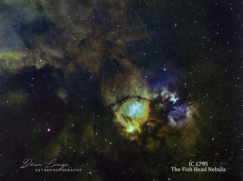 The Fish Head Nebula Variations Imaging Deep Sky Stargazers Lounge