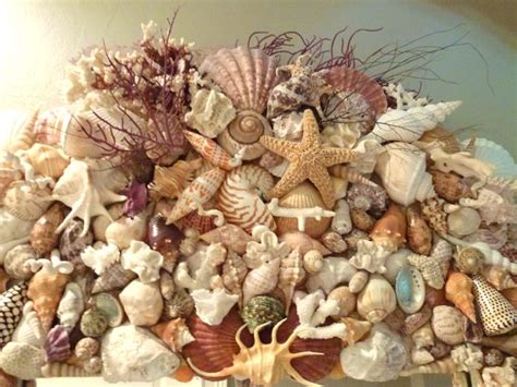 Tips To Decorate Your Home With Seashells I Love Shelling