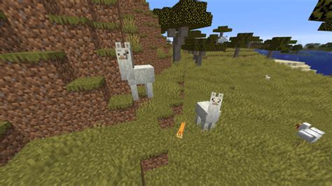 How To Tame And Ride A Llama In Minecraft 2021 Pro Game Guides