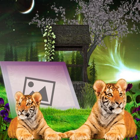 It Smichelle S Wildlife Frames Tigers Wildlife Nature Tigers