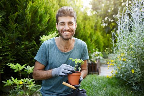 Cendre de bois au jardin Les plantes qui ne supportent pas ce remède