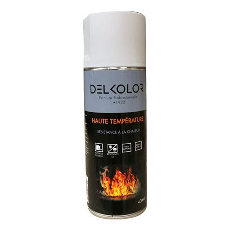 DELKOLOR Delkolor Peinture Haute Température en Aérosol 400ml