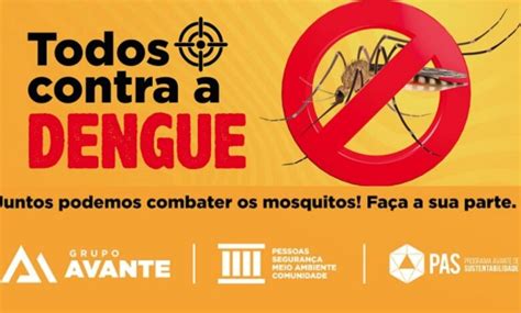 Todos Contra A Dengue Grupo Avante Compartilha Dicas Essenciais Para