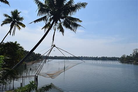 Pollution killed thousands of fish in Periyar River