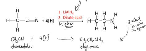 Amines Amides And Amino Acids Flashcards Quizlet