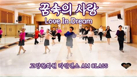 꿈속의 사랑 Love In Dream Remix 이라희 Beginner Trot Linedance K 트롯 라인댄스 고양