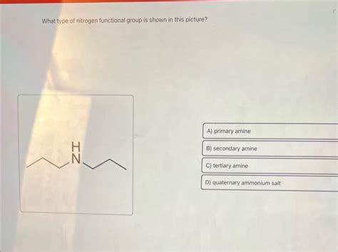 Solved What type of nitrogen functional group is shown in | Chegg.com