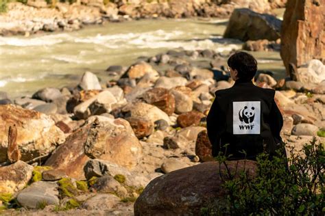 Wwf Fordert Ende Der Jahrzehntelangen Verfilzung Zwischen Tiwag Und