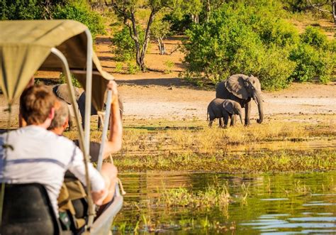 Quanto Custa Um Safari Na África